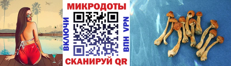 Галлюциногенные грибы мухоморы  Купить  Киров 
